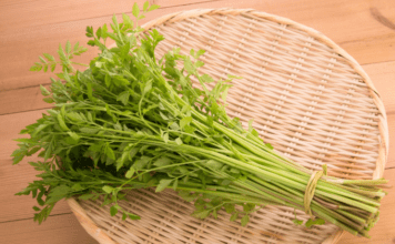 Mitsuba: Japanese Parsley Growing Plus 1 Delicious Recipe Japanese Parsley