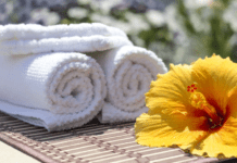 Best Bath Towels In 2022 With Professional Test Review Best Bath Towels For 2022