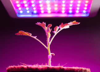 Best LED Grow Lights 2025 Plus Grow Lights Info Best LED Grow Light