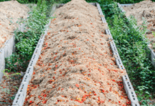 Compost Tea Understanding Plus Research Trials Compost Tea