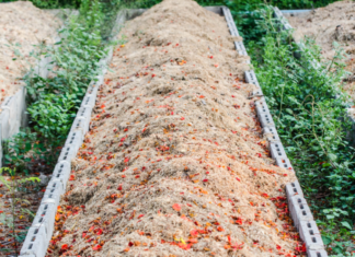 Compost Tea Understanding Plus Research Trials Compost Tea