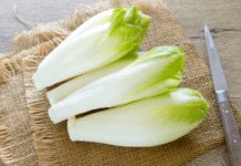 Belgian Endive An Ideal Fall Vegetable: 1 Extra Recipe You Need To Try Belgian Endive