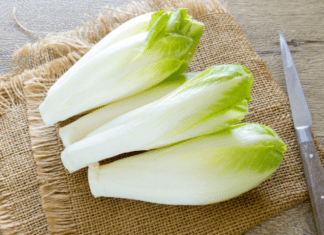 Belgian Endive An Ideal Fall Vegetable: 1 Extra Recipe You Need To Try Belgian Endive