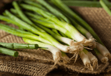 Green Onions, Chives – Lean, Green And Mean 2 Delicious Recipes Green Onion