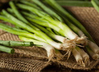 Green Onions, Chives – Lean, Green And Mean 2 Delicious Recipes Green Onion