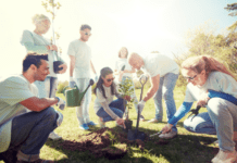 Plant A Peach Tree: 9 Best Peach Trees To Grow Plant A Peach Tree