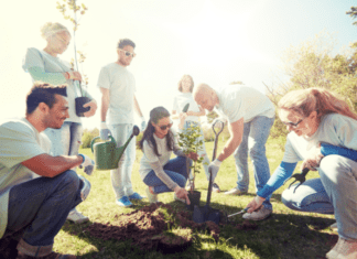 Plant A Peach Tree: 9 Best Peach Trees To Grow Plant A Peach Tree