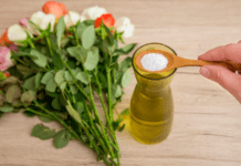 5 Key Steps To Keep Cut Flowers Fresh Longer Steps To Keep Cut Flowers Fresh Longer