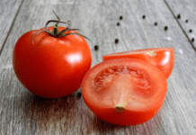 Tomato Plant Toxicity?, Are Tomato Leaves Poisonous Tomato Plant Toxicity