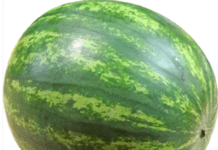 Watermelons: Everything You Should Know About Melons Watermelon