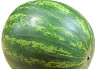 Watermelons: Everything You Should Know About Melons Watermelon