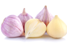 Elephant Garlic Is Indeed Kin To Leek: 3 Free Elephant Garlic Recipes Elephant Garlic