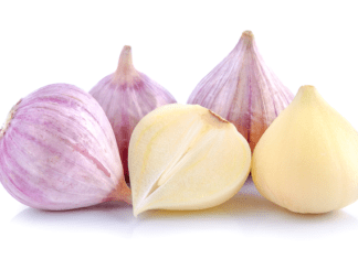 Elephant Garlic Is Indeed Kin To Leek: 3 Free Elephant Garlic Recipes Elephant Garlic