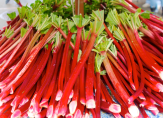 How To Grow Rhubarb: Pick The Best 4 Varieties For Your Garden How to grow rhubarb