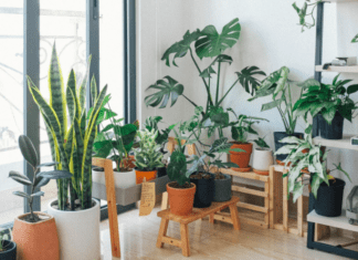 Plant Stand Indoors: 3 Great Indoor Plant Stands Plant Stand Indoors