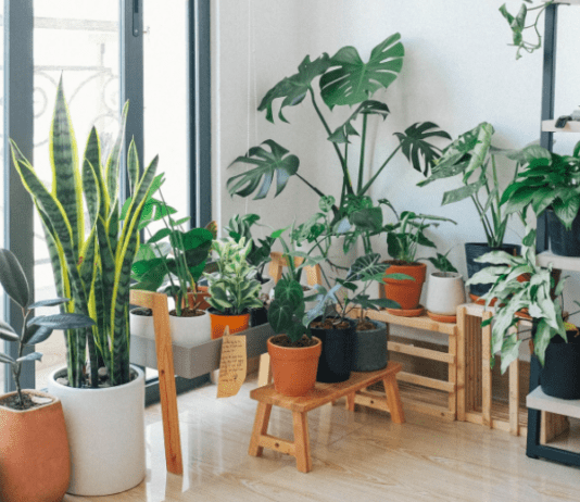 Plant Stand Indoors: 3 Great Indoor Plant Stands Plant Stand Indoors