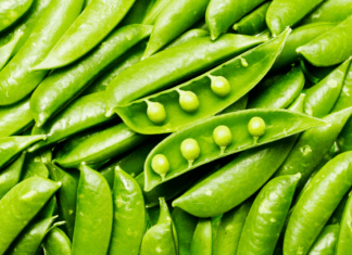 Snow Peas For Food And Fertilizer: 1 Epic Snow Peas Recipe Snow Peas