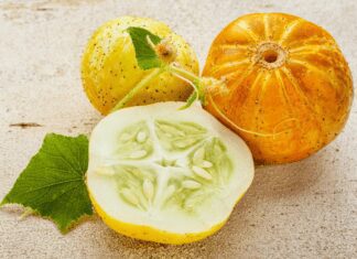 Lemon Cucumber Epic Growing Tips Lemon Cucumber