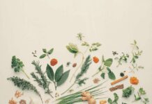 10 Spice Herbs To Start Growing By Yourself Spice Herbs