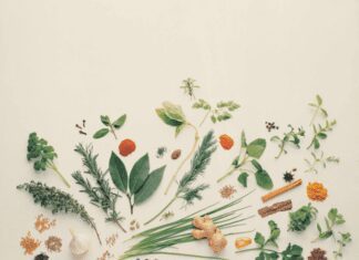 10 Spice Herbs To Start Growing By Yourself Spice Herbs