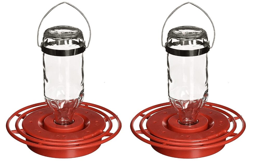 Birds Choice 8 ounce Hummingbird Feeder