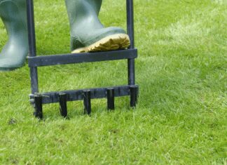 7 Ways To Accelerate Grass Growth: Simple Steps With Huge Impact Ways To Accelerate Grass Growth