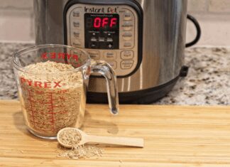 Instant Pot And Why You Need 1 Instant Pot