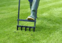 What Is Lawn Aerator And 4 Tips When To Use It Lawn Aerator