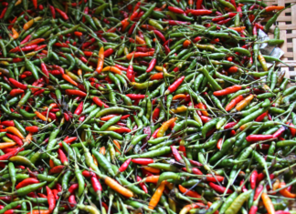 Thai Peppers Growing: Plus 2 Ultra Hot Recipes Thai Peppers