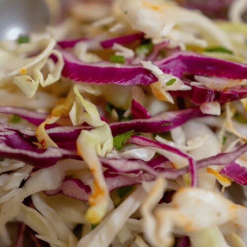 Sweet and Sour Harvest Slaw