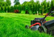 7 Ways on How to Maintain a Healthy Lawn in Nebraska healthy lawn in Nebraska