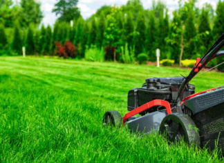 7 Ways on How to Maintain a Healthy Lawn in Nebraska healthy lawn in Nebraska