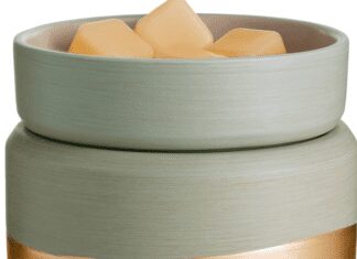 How to Clean a Wax Warmer In 4 Quick Steps How to Clean a Wax Warmer