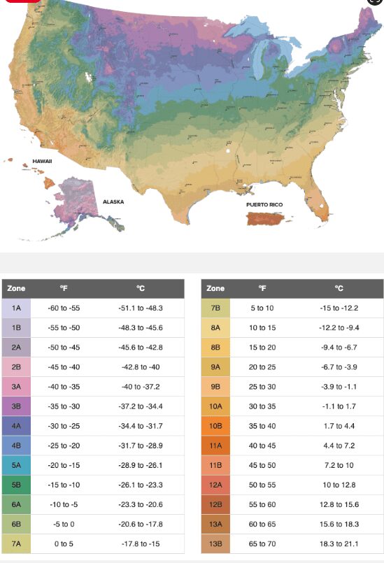 Endless Summer hydrangea Growing Zones Hardiness Map