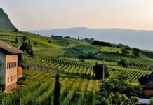 How To Start Your Own Farming Operation Farming Operation