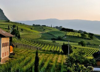 How To Start Your Own Farming Operation Farming Operation