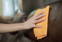 Leather Wipes Vs Leather Cleaners: Choose the Best Option Leather Wipes vs Leather Cleaners