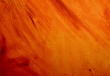 Transform Your Walls with 5 Easy-to-Install Peel-and-Stick Wallpaper – Shop Now! Peel-and-stick wallpaper