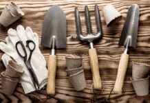 5 Essential Gardening Tools Every Gardener Should Own essential gardening tools