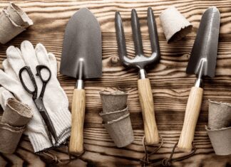 5 Essential Gardening Tools Every Gardener Should Own essential gardening tools