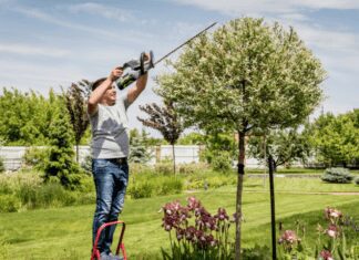 Top Cordless Trimmers Tested in 2024: Guide to Perfect Your Yard Cordless Trimmers