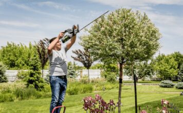 Top Cordless Trimmers Tested in 2024: Guide to Perfect Your Yard Cordless Trimmers