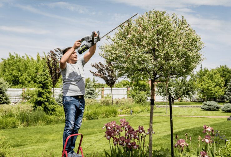 Cordless Trimmers