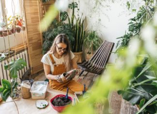 Indoor Growing Systems: How to Grow Your Own Food at Home – 2023 Guide Indoor Growing Systems