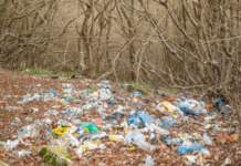 15 Items That Are Illegal to Throw in the Trash Items That Are Illegal to Throw in the Trash