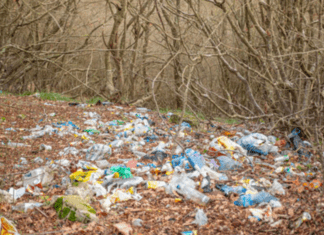 15 Items That Are Illegal to Throw in the Trash Items That Are Illegal to Throw in the Trash