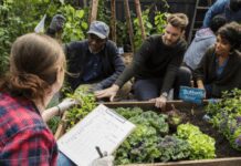 How to Start a Community Garden in 8 Easy Steps How to Start a Community Garden in Your Neighborhood