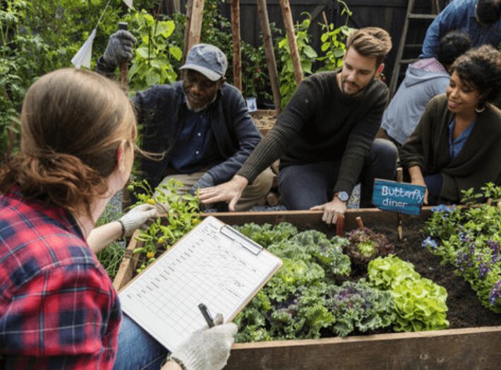 How to Start a Community Garden in Your Neighborhood