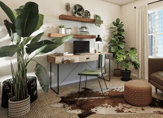 5 Budget-Friendly Home Improvement Ideas for College Students Budget-Friendly Home Improvement Idea