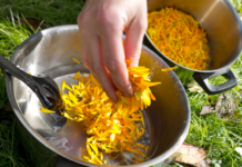 Recipe For A Homemade Herbal Eczema Salve Herbal Eczema Salve